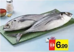 سمك كانايان بارا