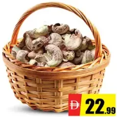 Cashew Borma