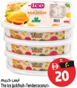 The Ice Icecream Jackfruit+Tendercoconut+Sapota+Mango Assorted