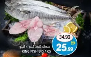 King Fish Big
