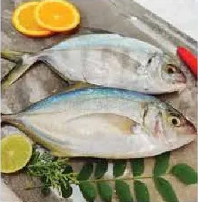 Jesh Fish