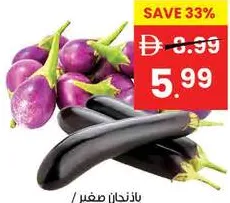 Eggplant(Brinjal)Small/ Eggplant Long