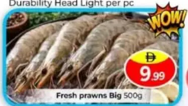 Fresh Prawns Big