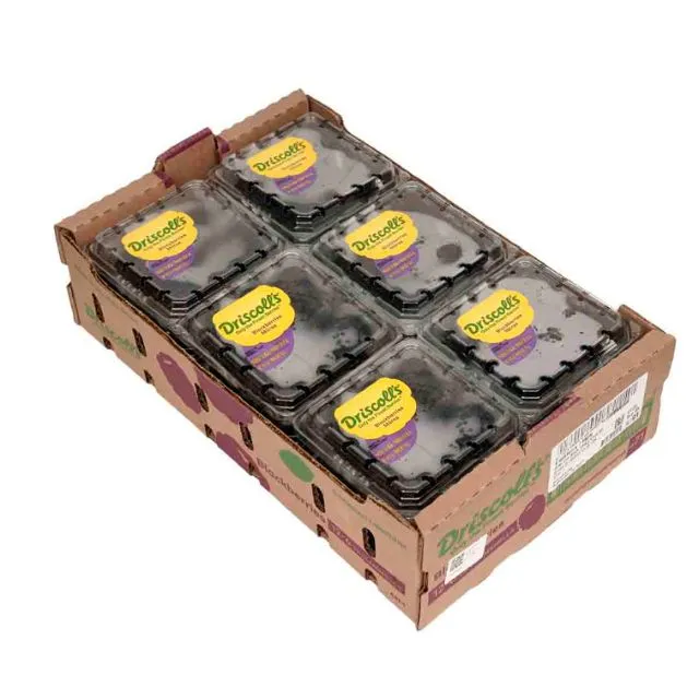 Driscolls Blackberries