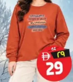Ladies Sweat Shirt Assorted