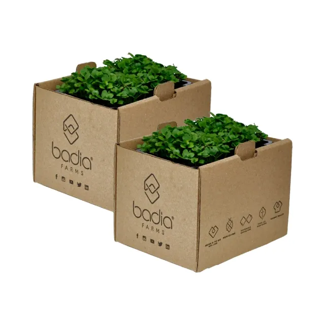 Badia Farms جرجير