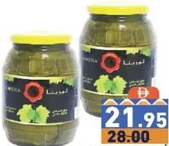 Lorena ورق عنب في محلول ملحي
