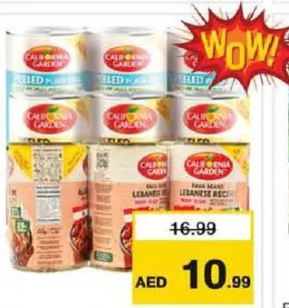 California Garden Peeled PlainFoul LightStomach/Foul Madames Lebanese Recipe/Peeled Medammas Eoe