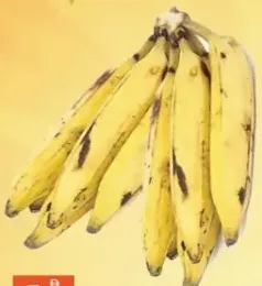 Banana India