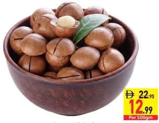 Macadamia With Shell
