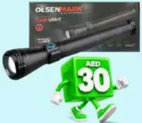 Olsenmark Rech Led Flash Light