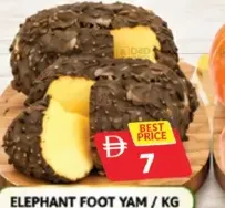 Elephant Foot Yam