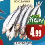 Sardine