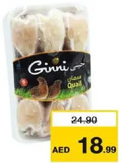 Ginni سمان مجمد جرمانيا