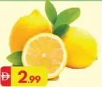 Lemon
