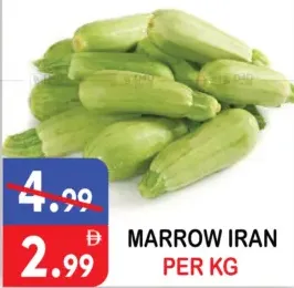 Marrow Iran