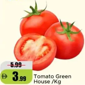 Tomato Green House