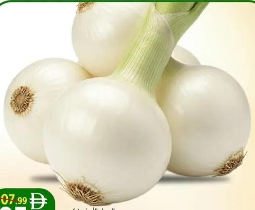 Onion White