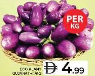 Egg Plant Gujarathi