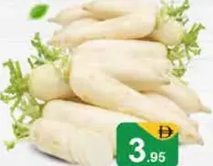 فجل