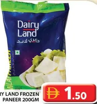 Dairy Land Frozen Paneer