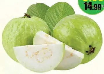 Guava Egypt