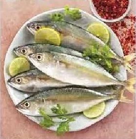 سمك ماكريل كجم