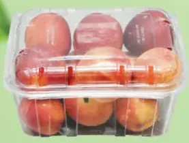 Nectarine