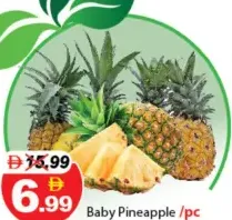 Baby Pineapple