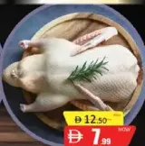 جيرمانيا بط