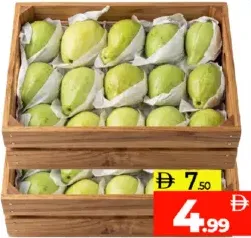 Guava Egypt Small
