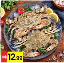 Crab Male