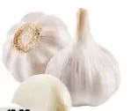ثوم سائب أبيض نقي