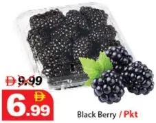 Black Berry