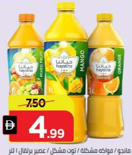 Hayatna Mango/Mixed Fruit/Berry Mix Nectar/Orange Pure Juice