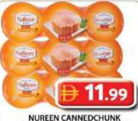 Nureen Canned Chunk In Sunflower Oil