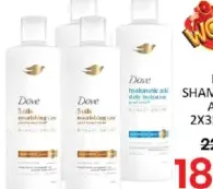 Dove Shampoo Assorted