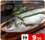 Fresh Silver Fish