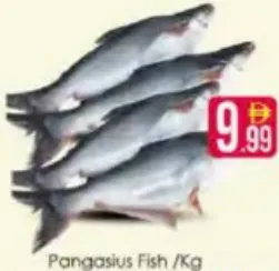 Pangasius Fish