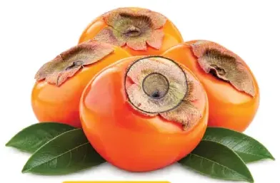 Persimmon