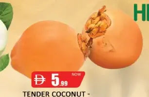 Tender Coconut - Sri Lanka