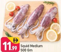 حبار