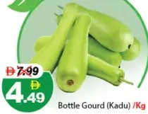Bottle Gourd (Kadu)