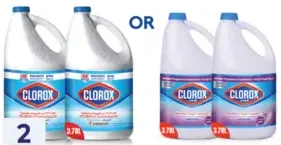 Clorox liquid bleach assorted