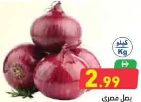 Onion Egyptian