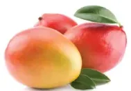 Mango Kent