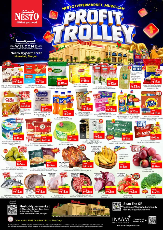 Nesto flyer cover