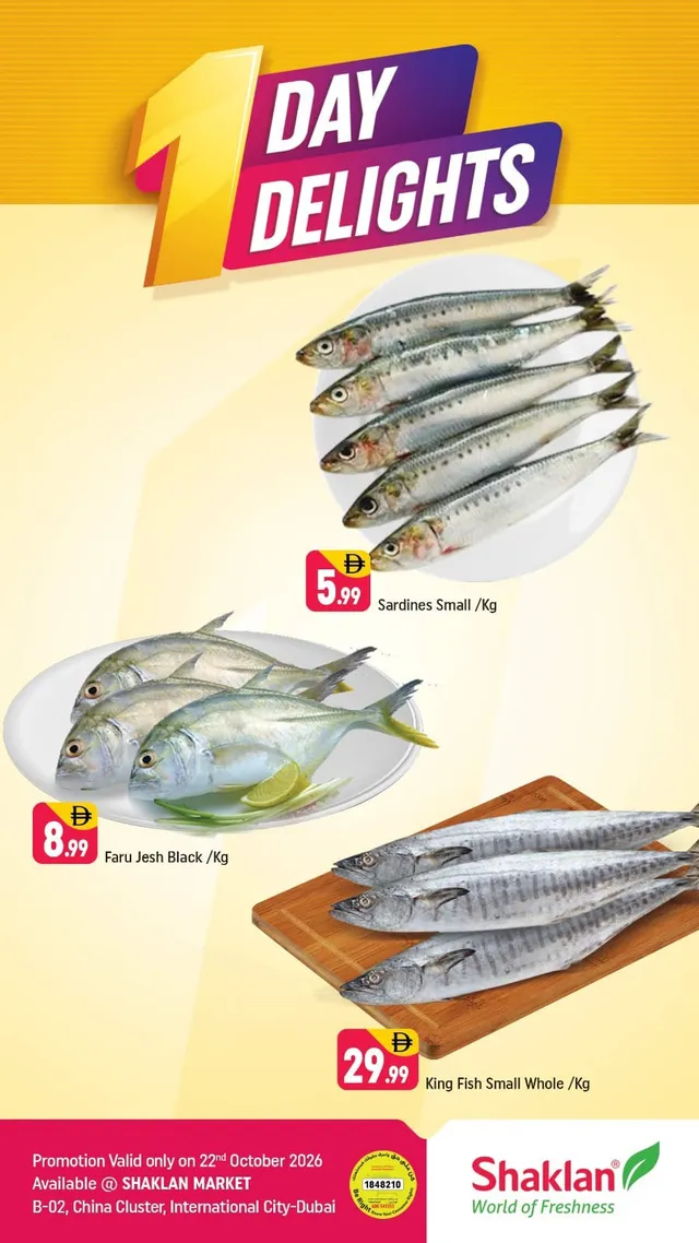 Shaklan flyer cover