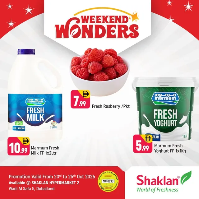 Shaklan flyer cover