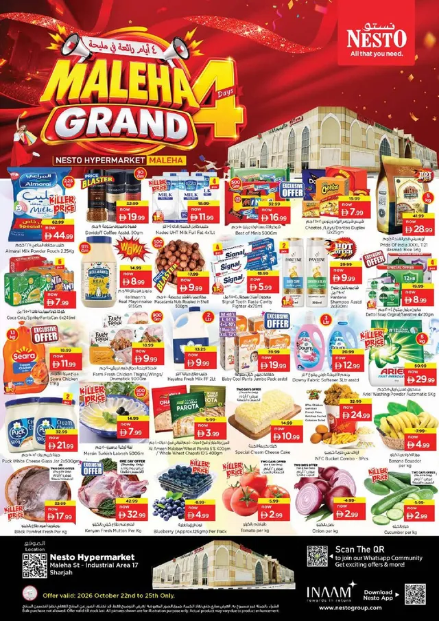 Nesto flyer cover
